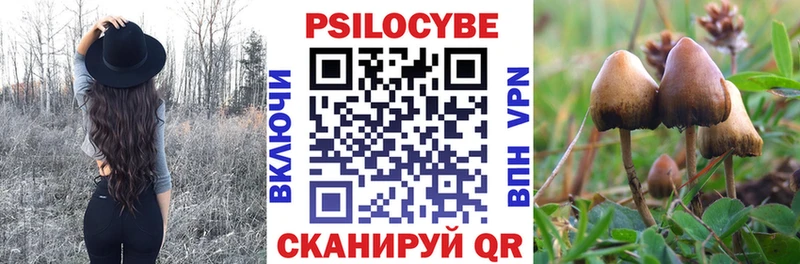 Галлюциногенные грибы Cubensis  Муравленко 