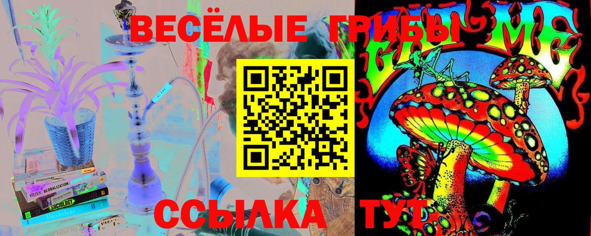 Галлюциногенные грибы мицелий Муравленко