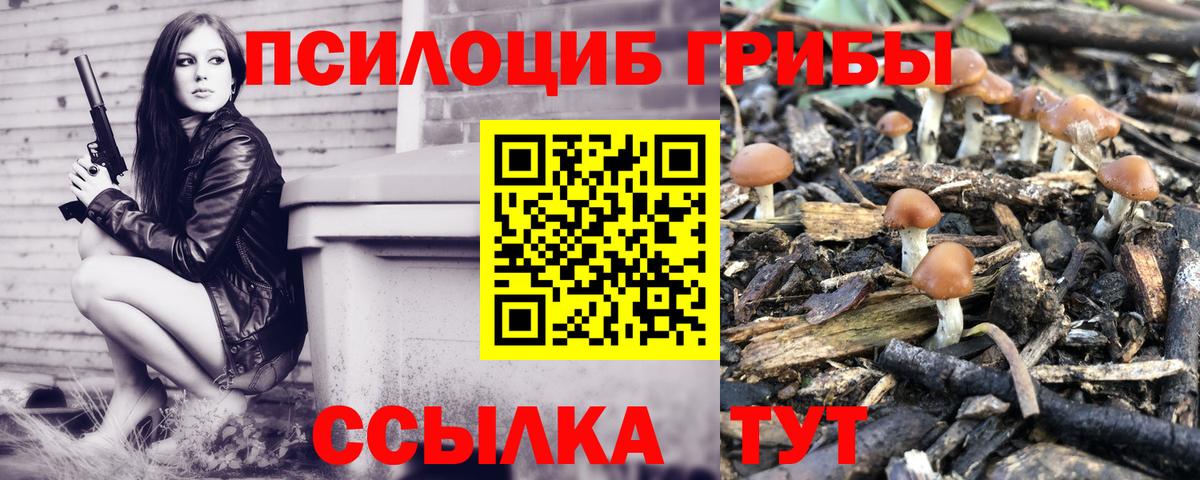 Галлюциногенные грибы мицелий  Вход с VPN  Муравленко 