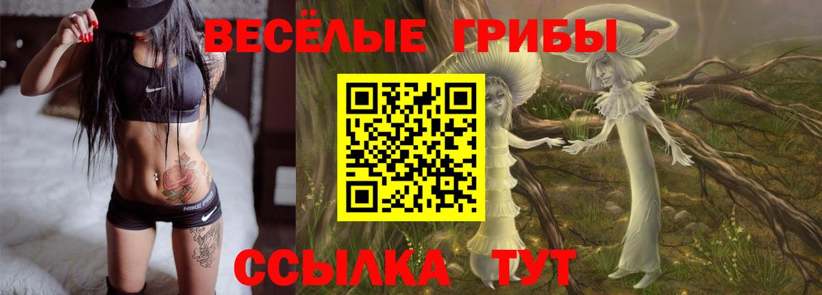 Псилоцибиновые грибы MAGIC MUSHROOMS Муравленко