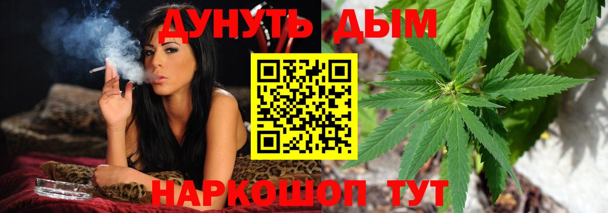 МАРИХУАНА план  Бошки Шишки OG Kush  МАРИХУАНА SATIVA & INDICA  Муравленко 
